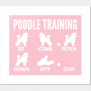 Poodle Training Poodle Dog Tricks Posters and Art